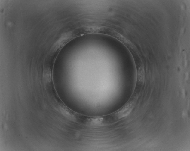 X0000074310474200608251240