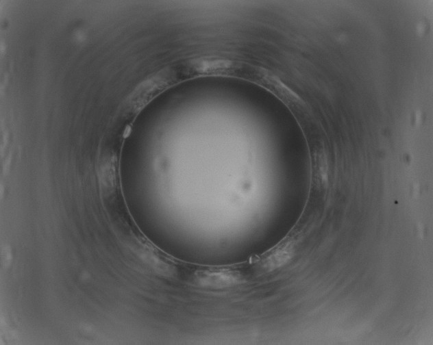 X0000074310475200608251240