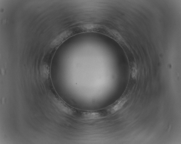 X0000074310476200608251240