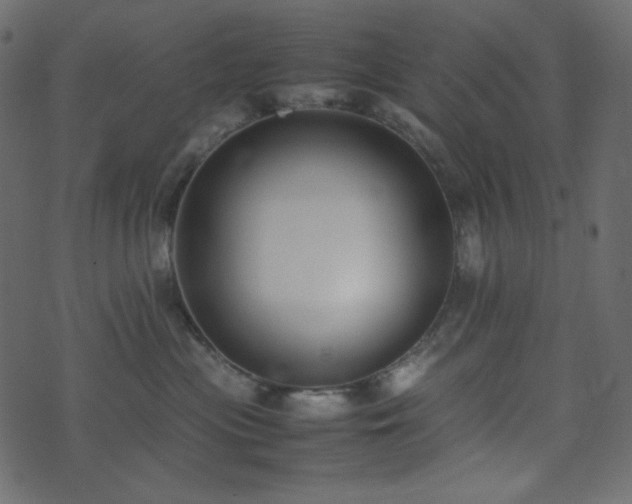 X0000074310477200608251240