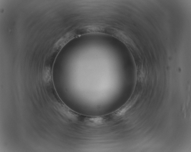 X0000074310478200608251240