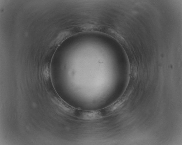 X0000074310479200608251240