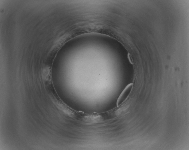 X0000074310480200608251240