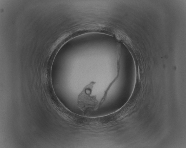 X0000074310483200608251239