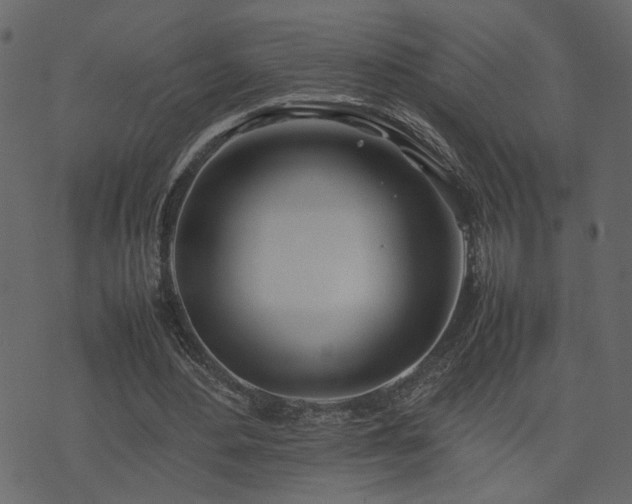 X0000074310484200608251239