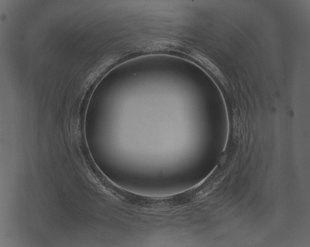 X0000074310485200608251239