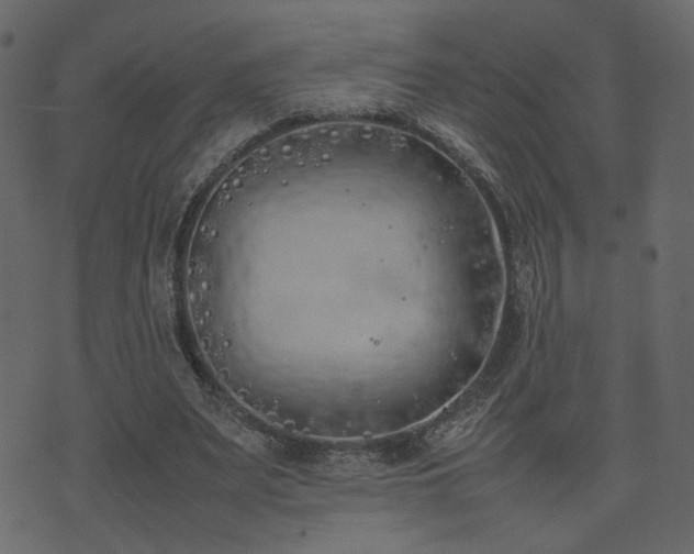 X0000074310487200608251239