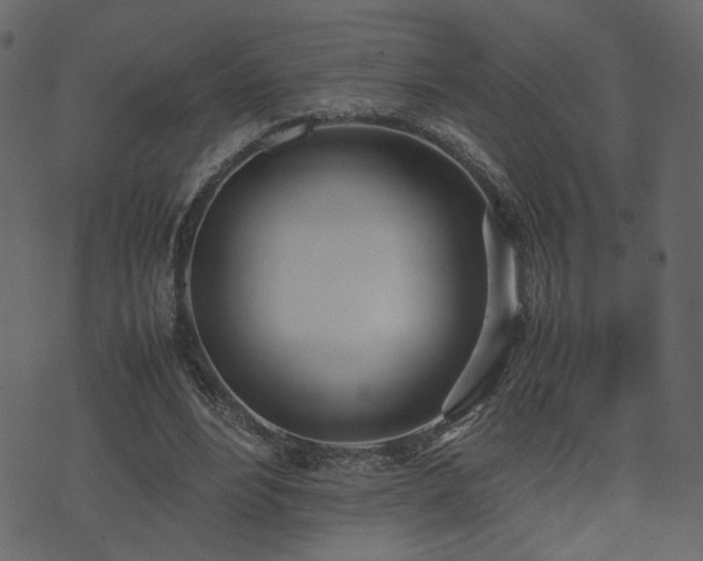 X0000074310488200608251239