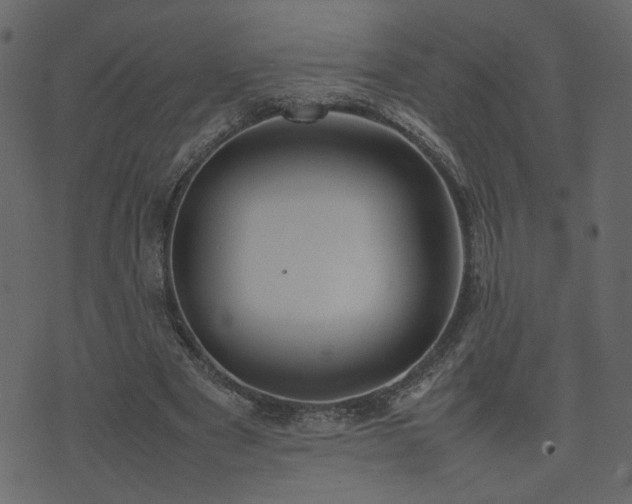 X0000074310489200608251239