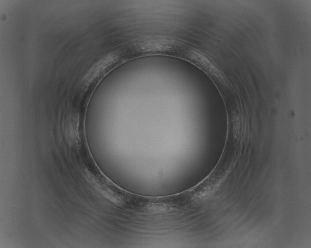 X0000074310490200608251239