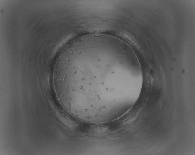 X0000074310491200608251239