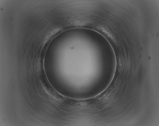 X0000074310492200608251239