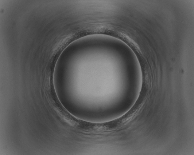 X0000074310493200608251239