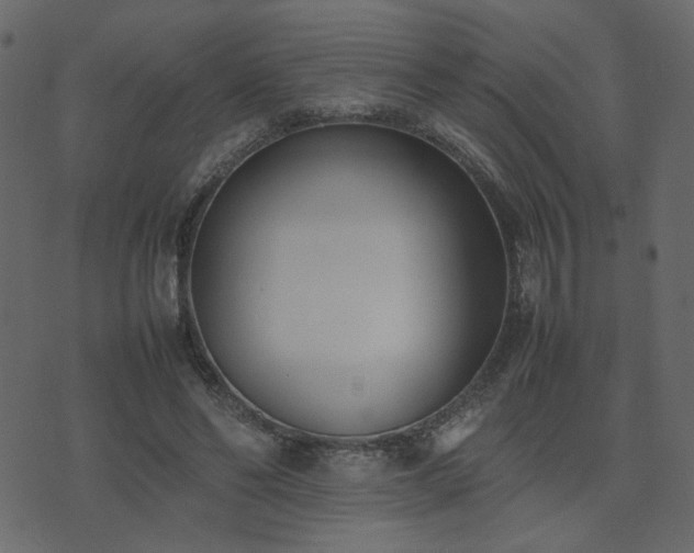 X0000074310494200608251239