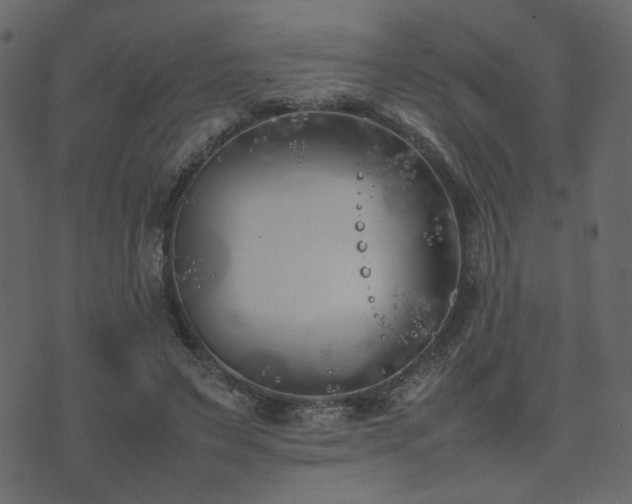 X0000074310495200608251239