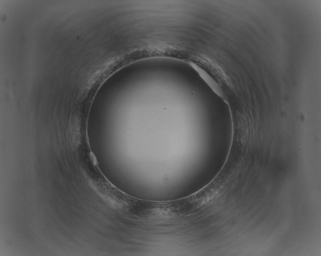 X0000074310496200608251239