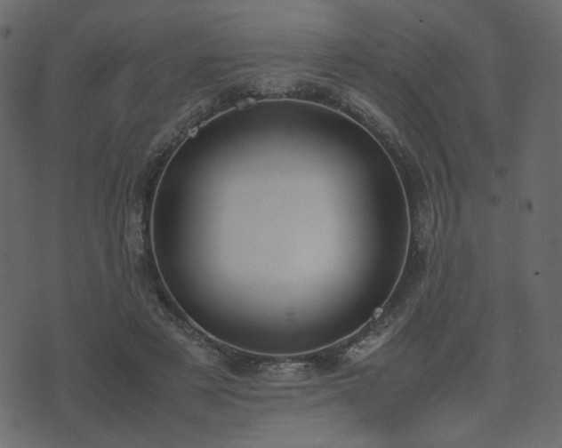 X0000074310497200608251239