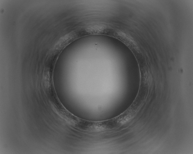 X0000074310498200608251239