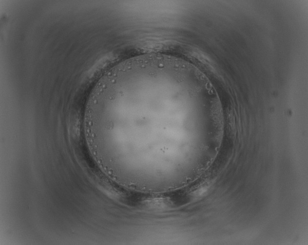 X0000074310499200608251239