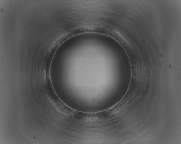 X0000074310500200608251239