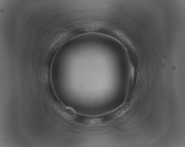 X0000074310501200608251239