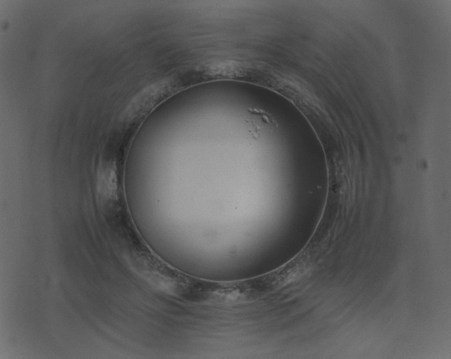 X0000074310502200608251239