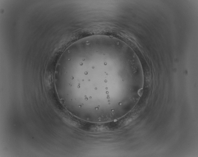 X0000074310503200608251239