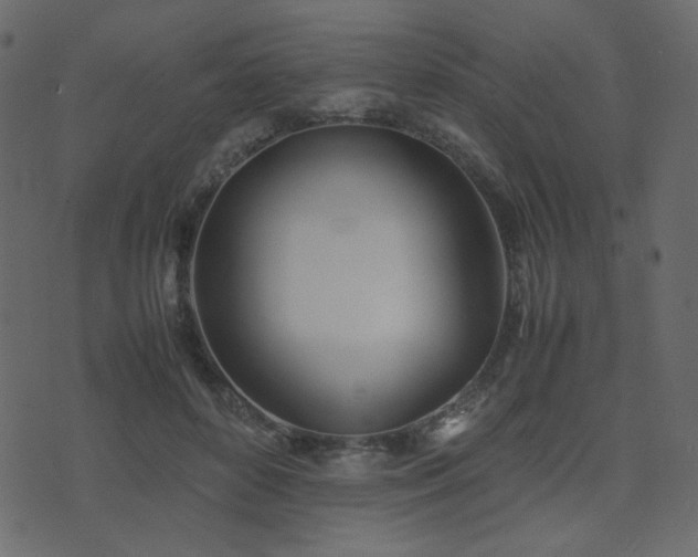 X0000074310504200608251239