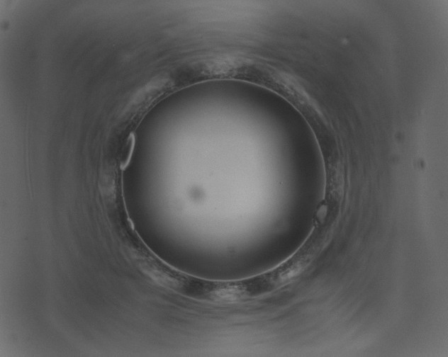 X0000074310505200608251239