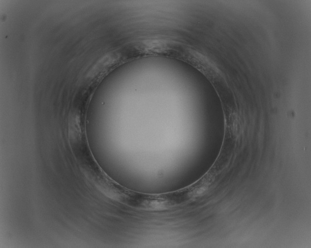 X0000074310506200608251239