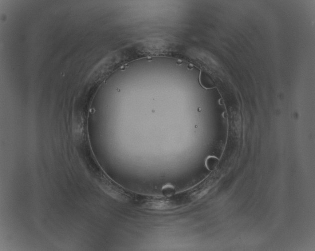 X0000074310507200608251239