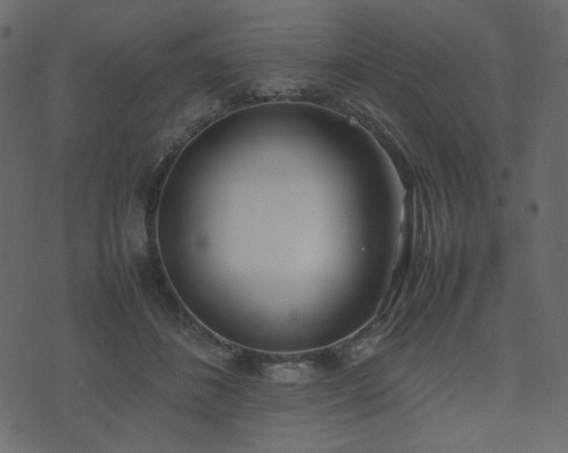 X0000074310508200608251239