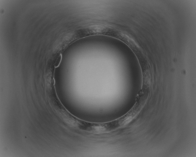 X0000074310509200608251239