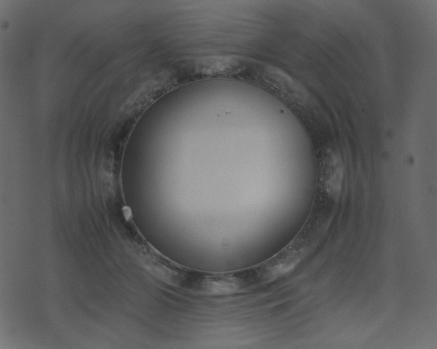 X0000074310510200608251239