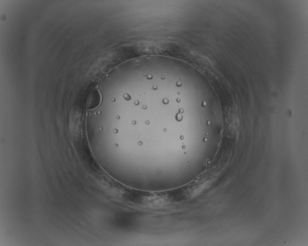 X0000074310511200608251239