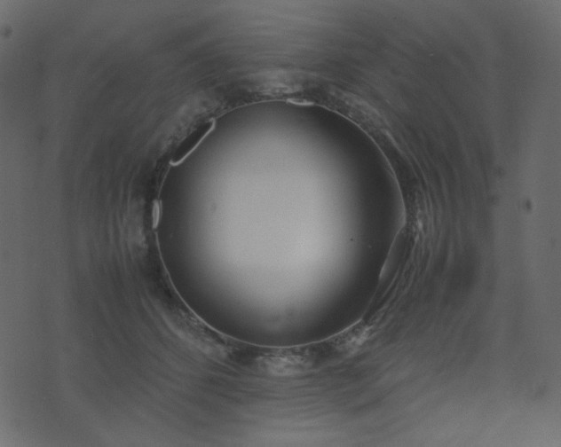 X0000074310512200608251239