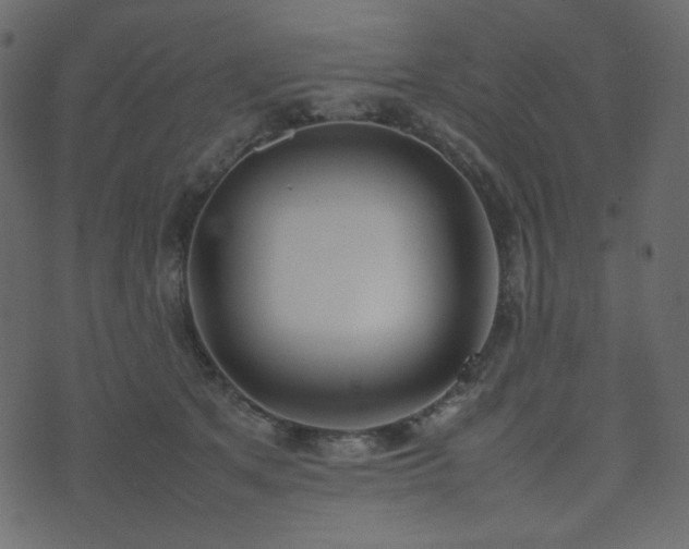 X0000074310513200608251239