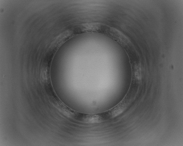 X0000074310514200608251239