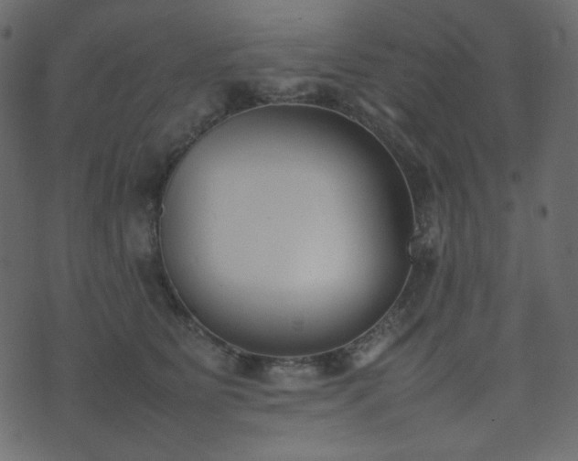 X0000074310515200608251239