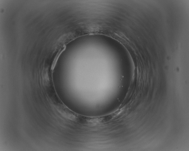 X0000074310516200608251239