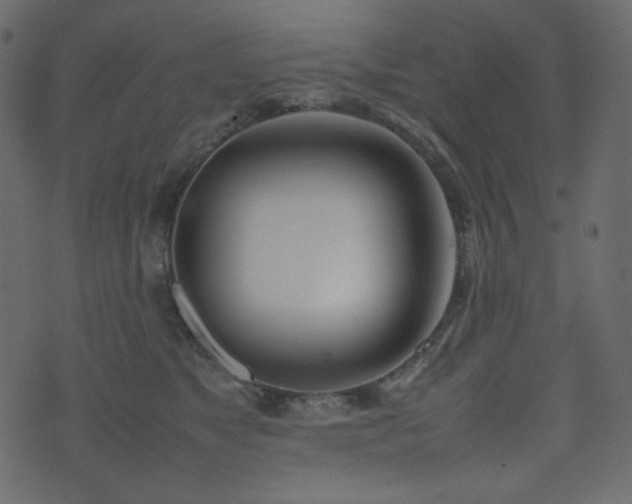 X0000074310517200608251239