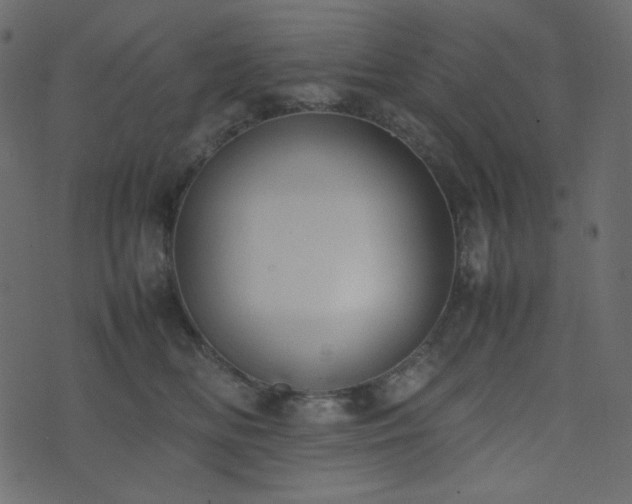 X0000074310518200608251239