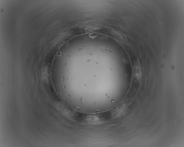 X0000074310519200608251239