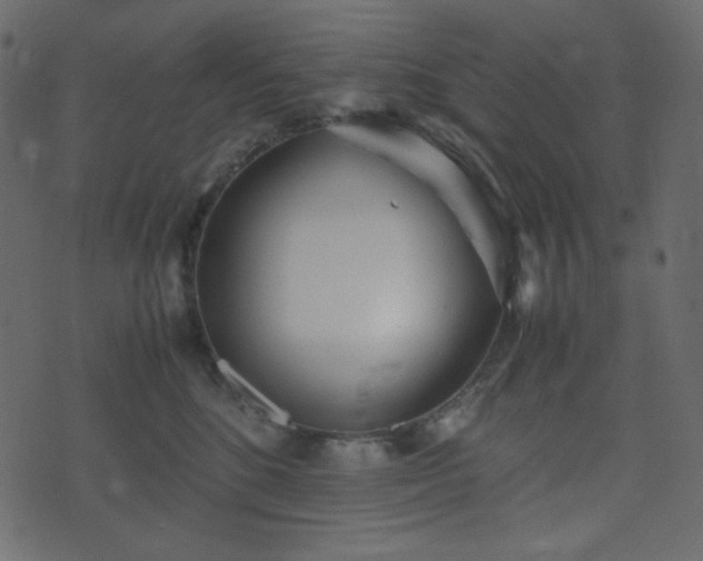 X0000074310520200608251239