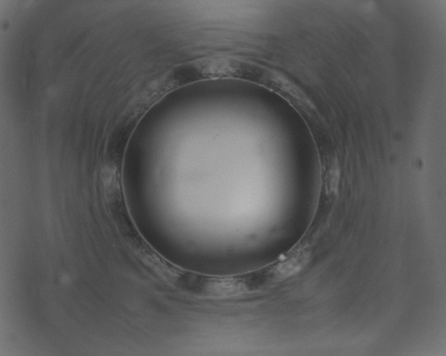 X0000074310521200608251239