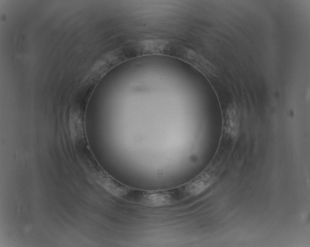 X0000074310522200608251239