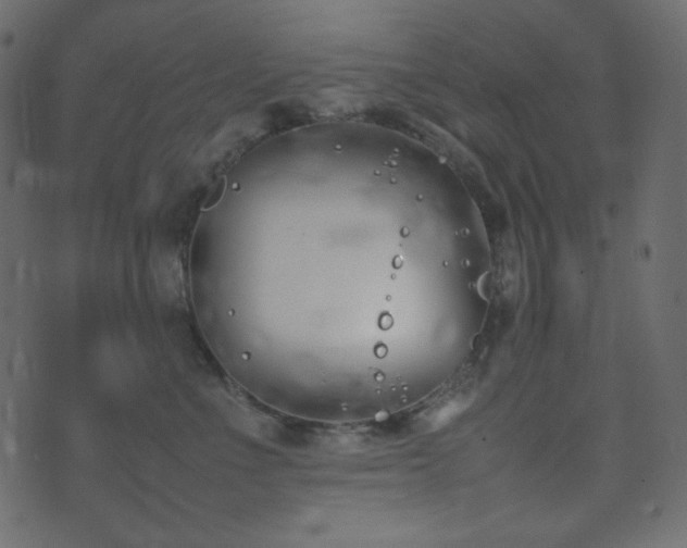 X0000074310523200608251239