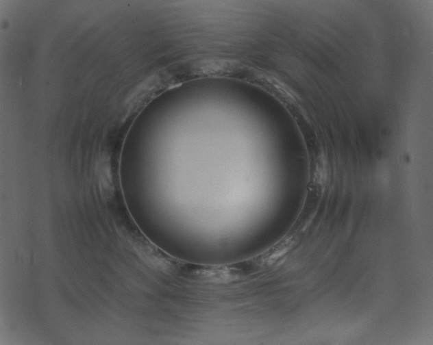 X0000074310524200608251239