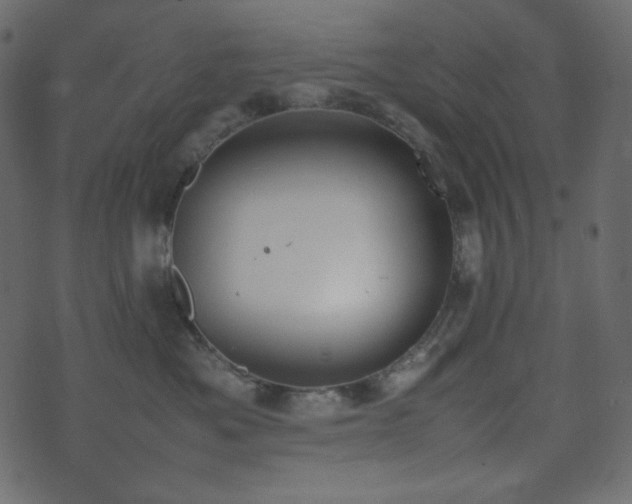 X0000074310525200608251239