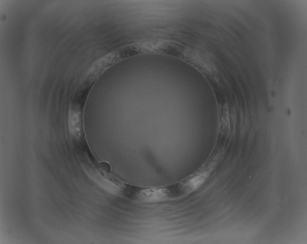 X0000074310526200608251239